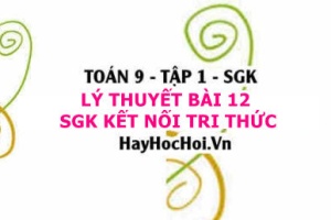 Lý Thuyết Toán 9 Bài 12: Một Số Hệ Thức Giữa Cạnh, Góc Trong Tam Giác Vuông (Kết nối tri thức)